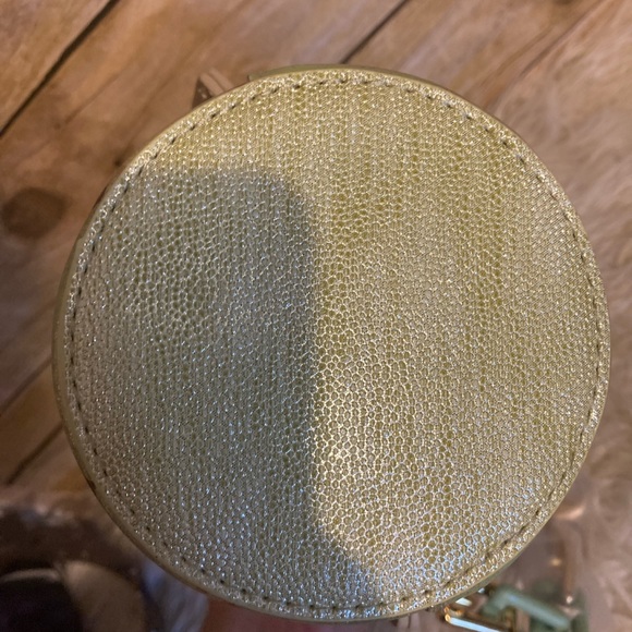 Disney Princess and the Frog Tiana Frappe Crossbody Bag from Danielle Nicole - Picture 8 of 8